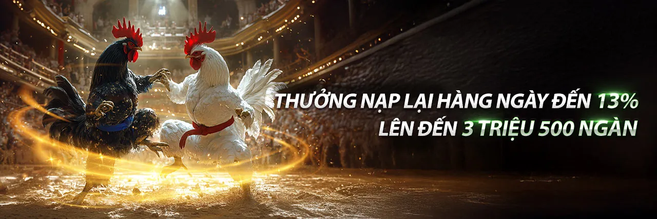 Trang Đá Gà Độ La 789 – Sân đấu gà trực tuyến GO99GAME
